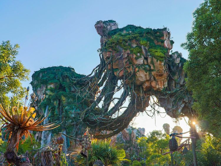 Pandora - The World of Avatar, amusement park in America trip
