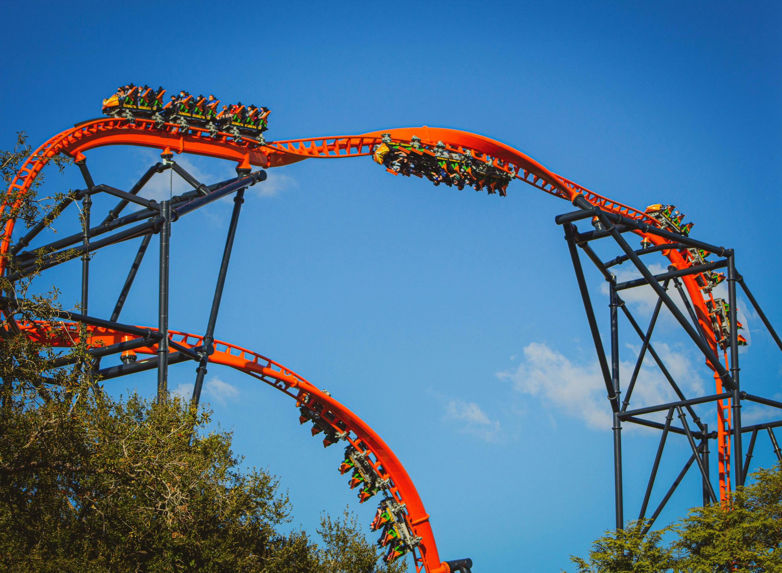 Rollercoaster Busch Gardens Tampa Bay