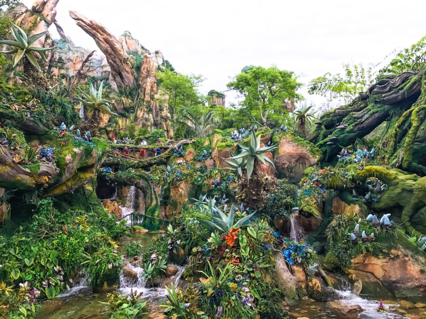Pandora - The World of Avatar