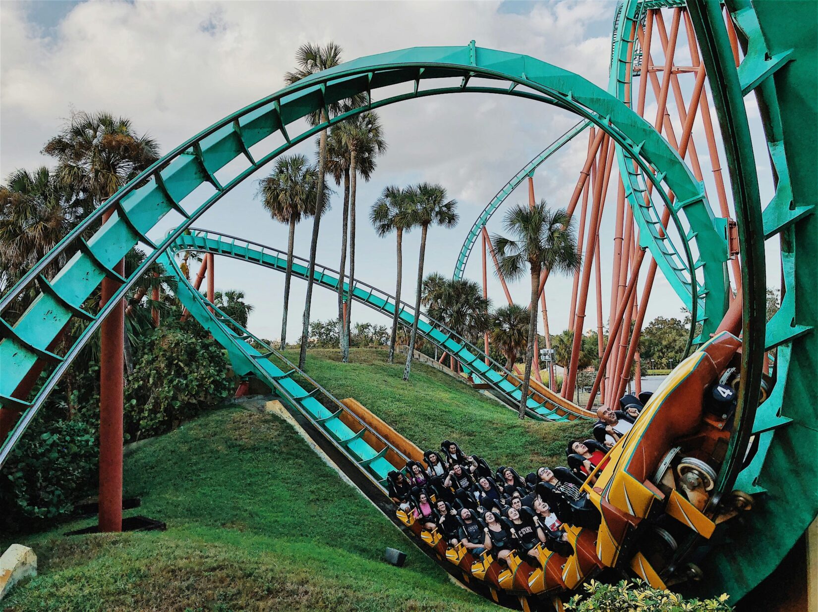 Rollercoaster Busch Gardens Tampa Bay
