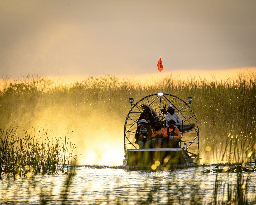 Airboat ride in Everglades National Park - unique experience during vacation or roundtrip to Orlando and Florida