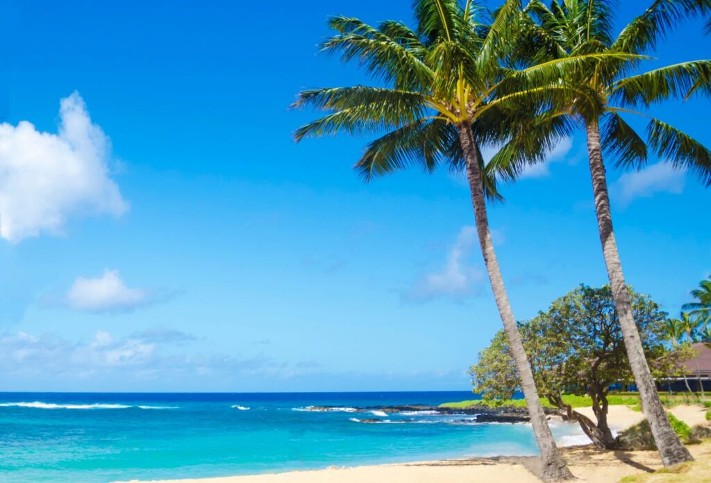 The beautiful beaches of Hawaii