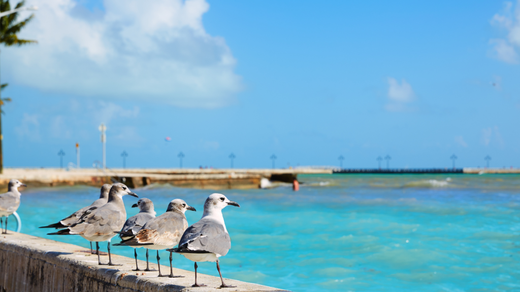 Key West, sea views while touring Florida
