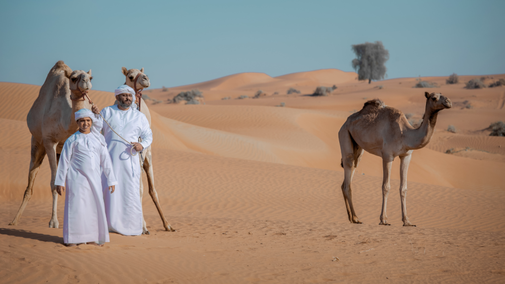 Abu Dhabi desert with camels
