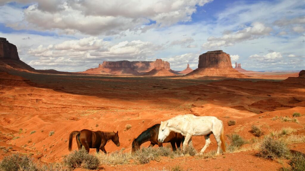 Monument Valley horse