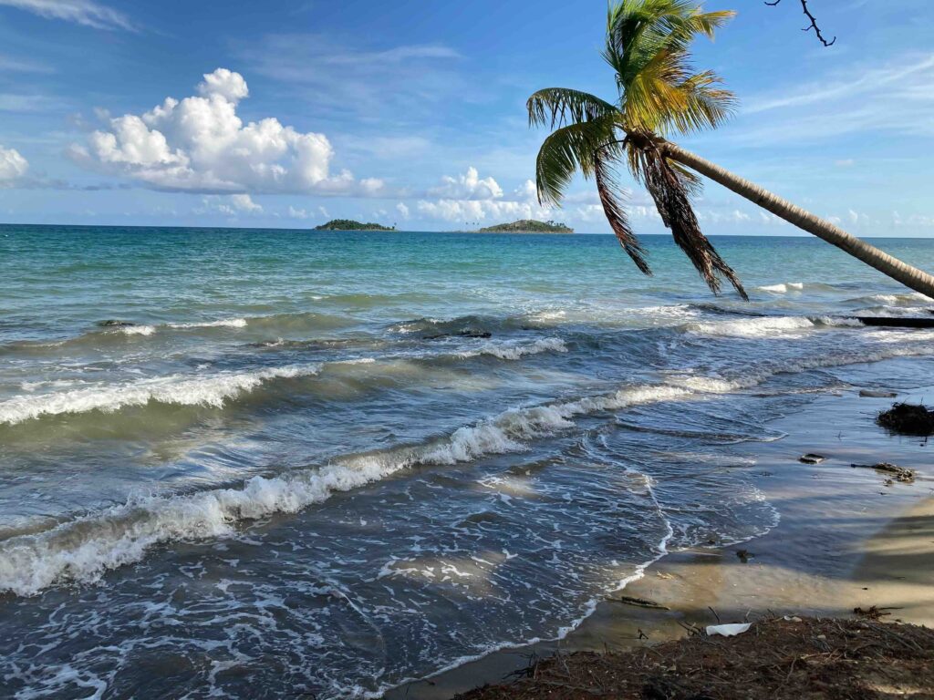 Puerto rico beach caribbean
