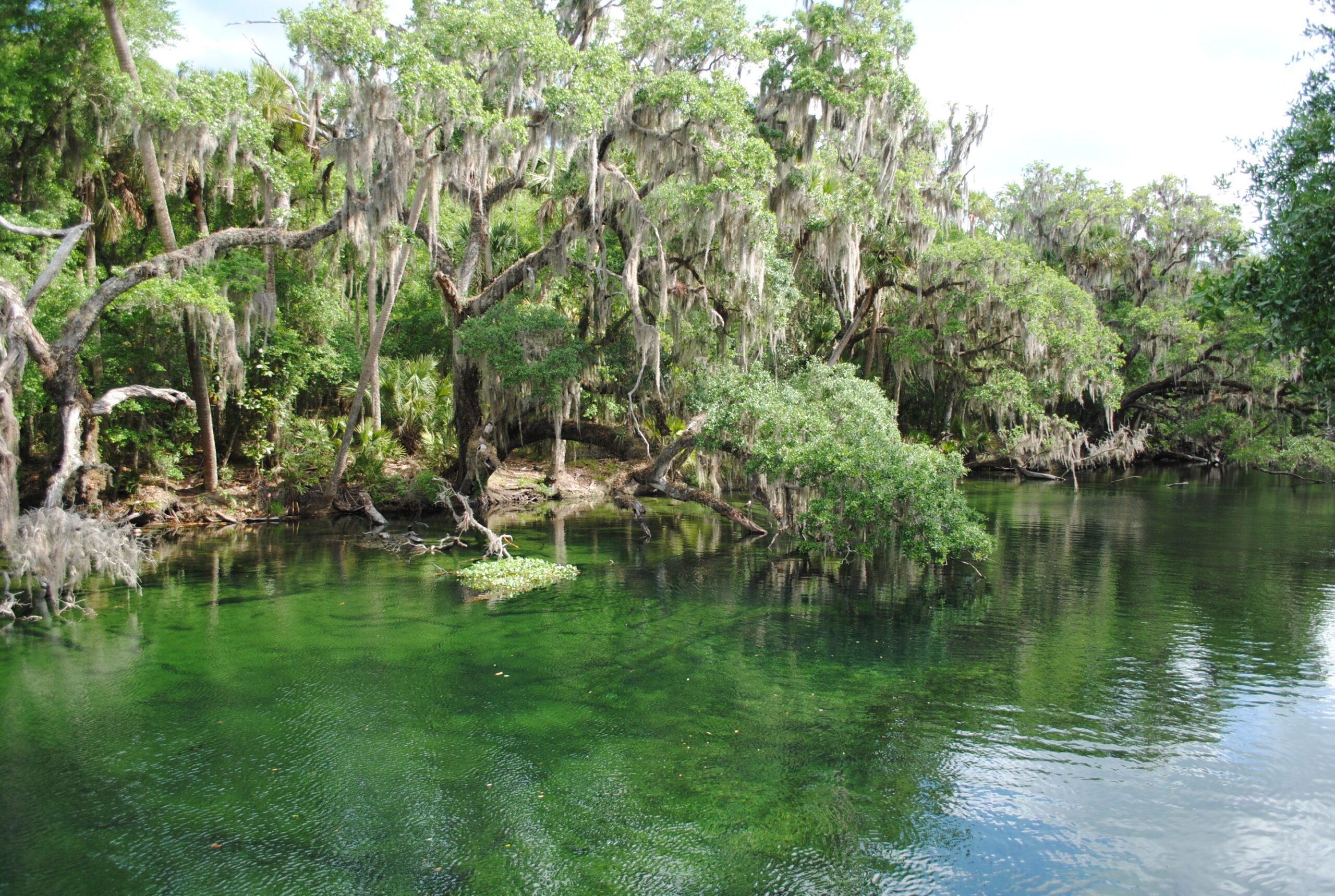 Crystal River, Florida