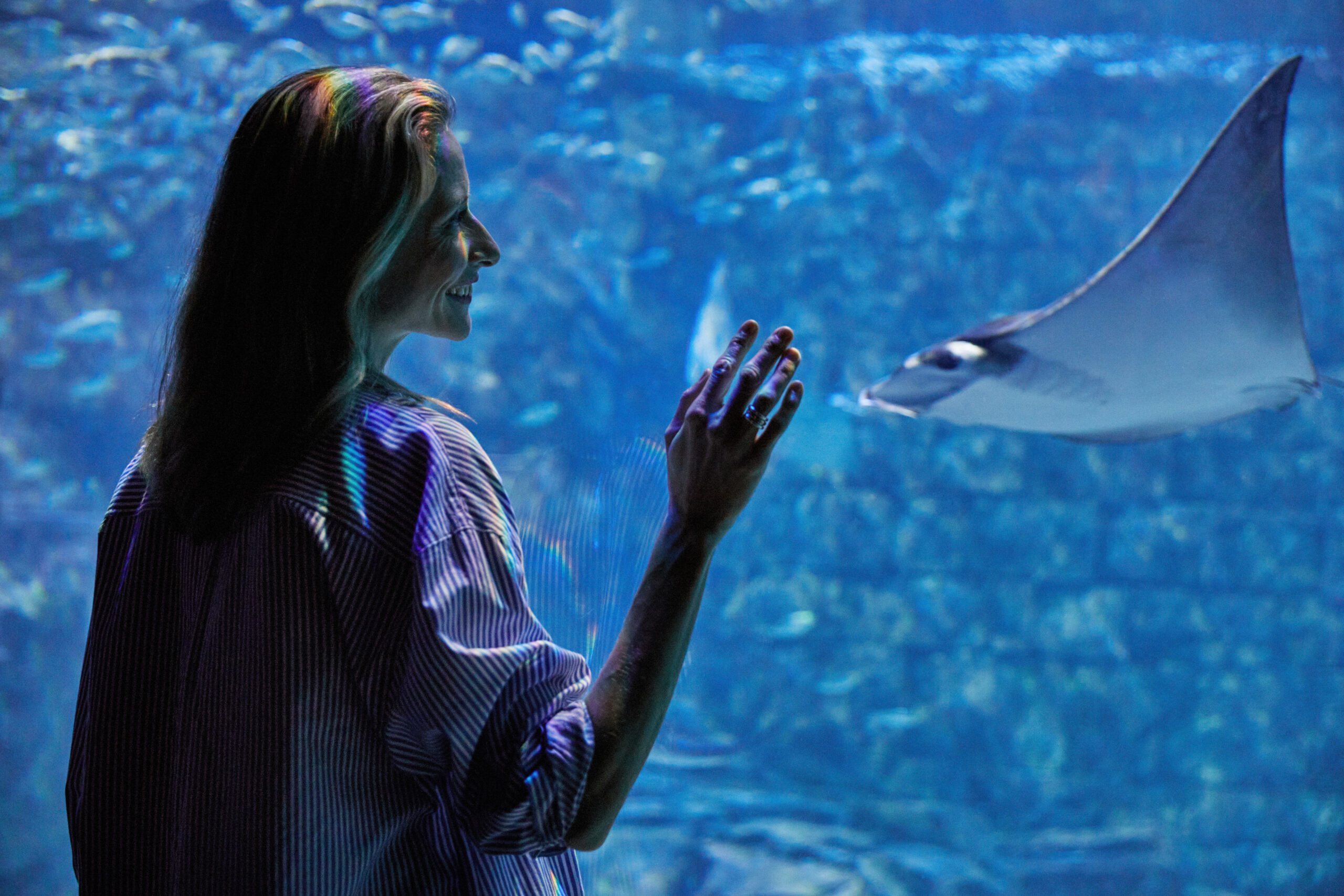 Sea World Orlando pretpark Florida