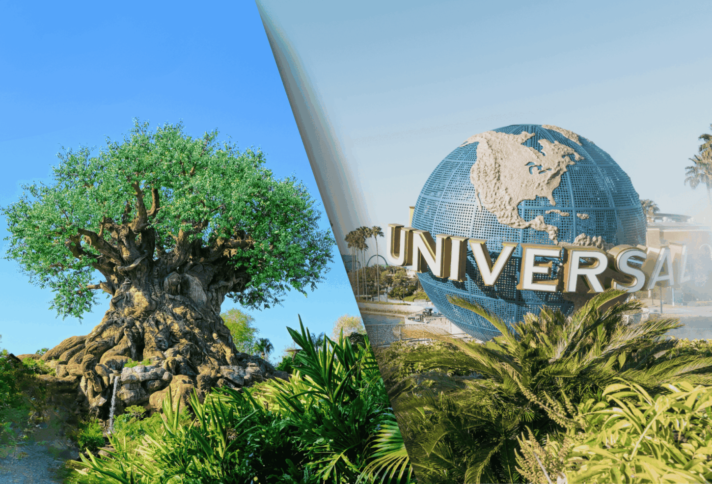 Walt Disney World en Universal Orlando Resort - Tree of Life en Wereldbol