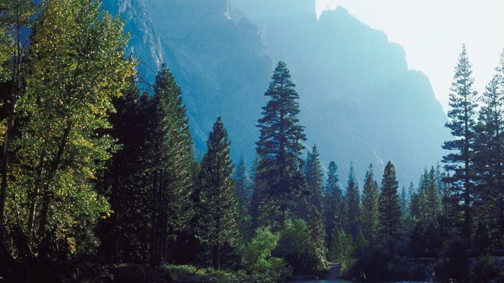 Yosemite National Park