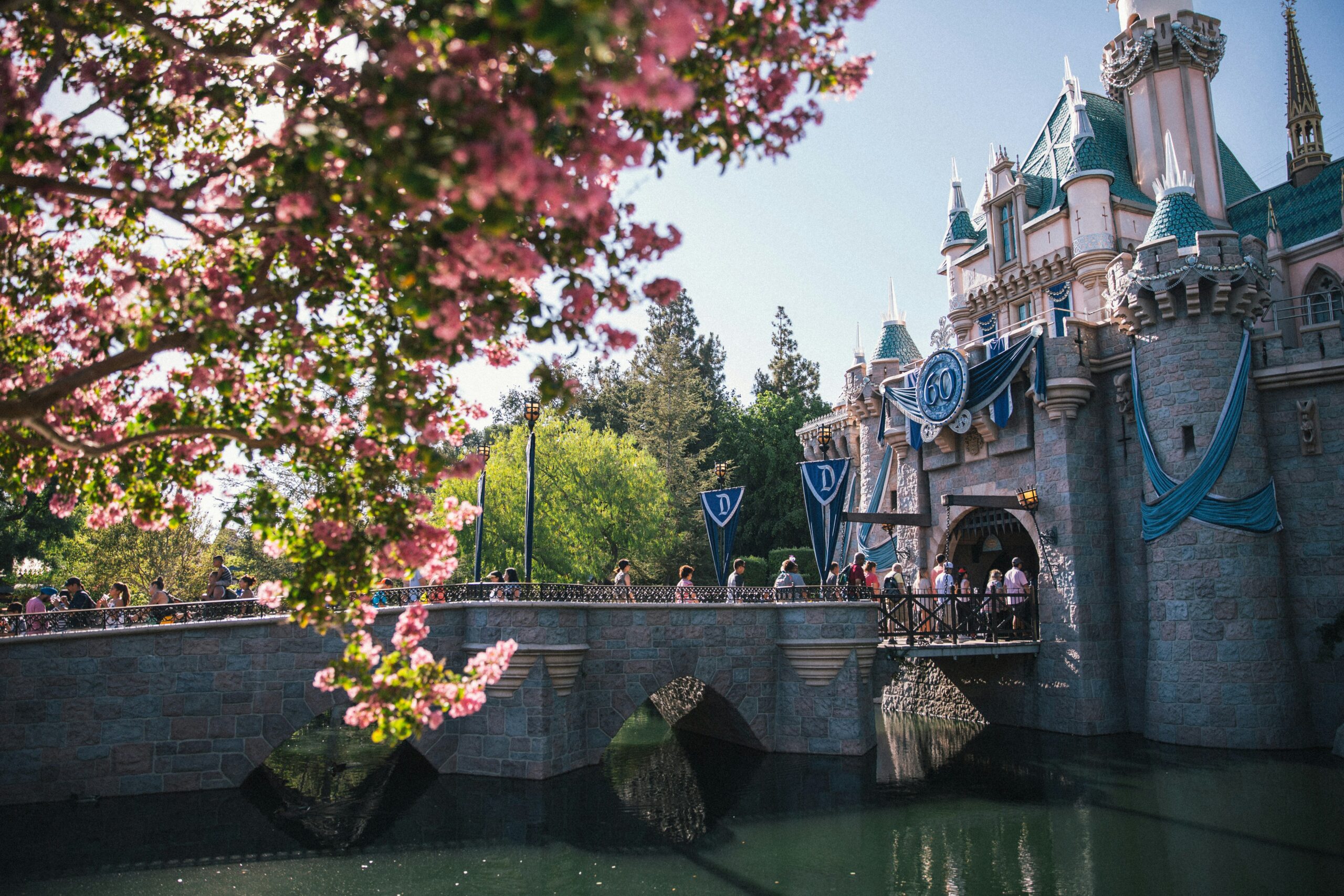 Disneyland Sleeping Beauty Castle
