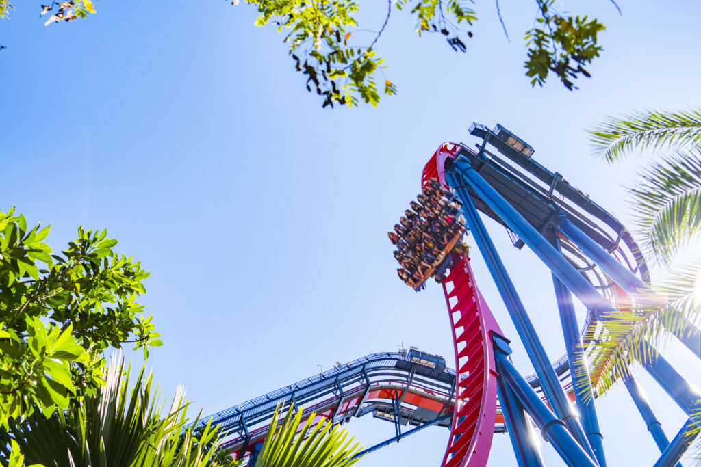 Busch Gardens SheiKra