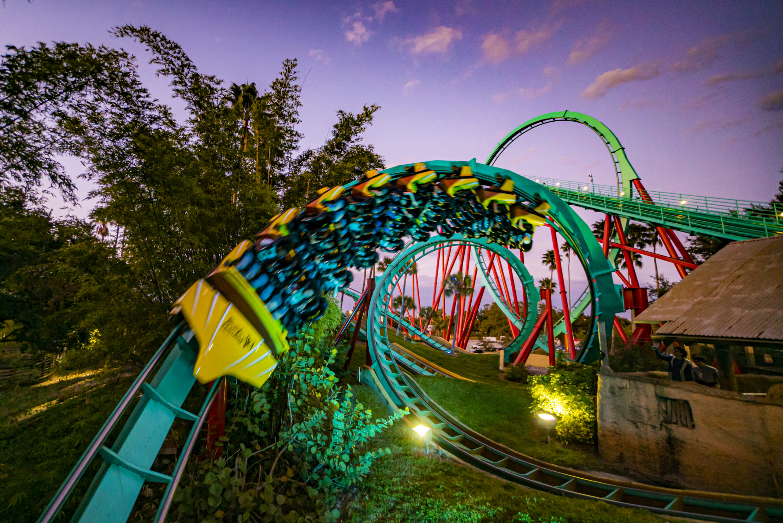Kumba by Night - Busch Gardens