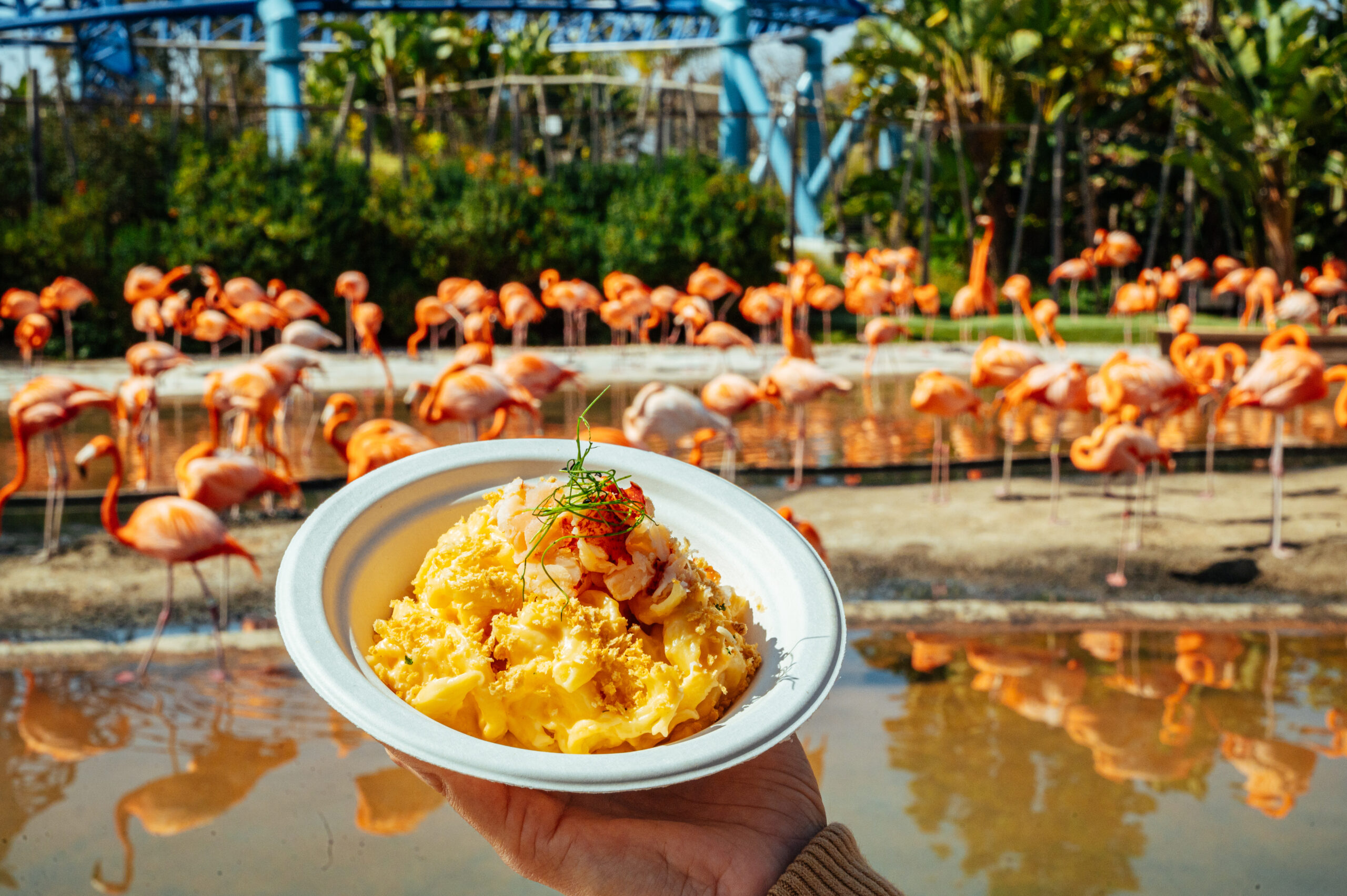 SeaWorld SevenSeas Snack in America Orlando