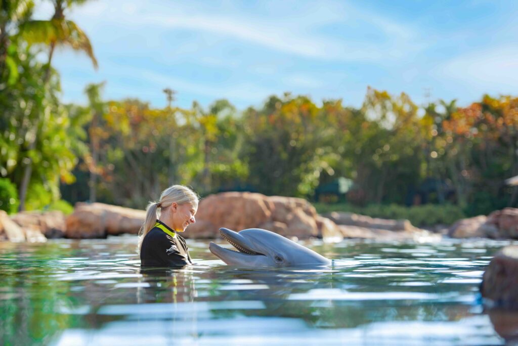 Dolfijnen in Discovery Cove Orlando