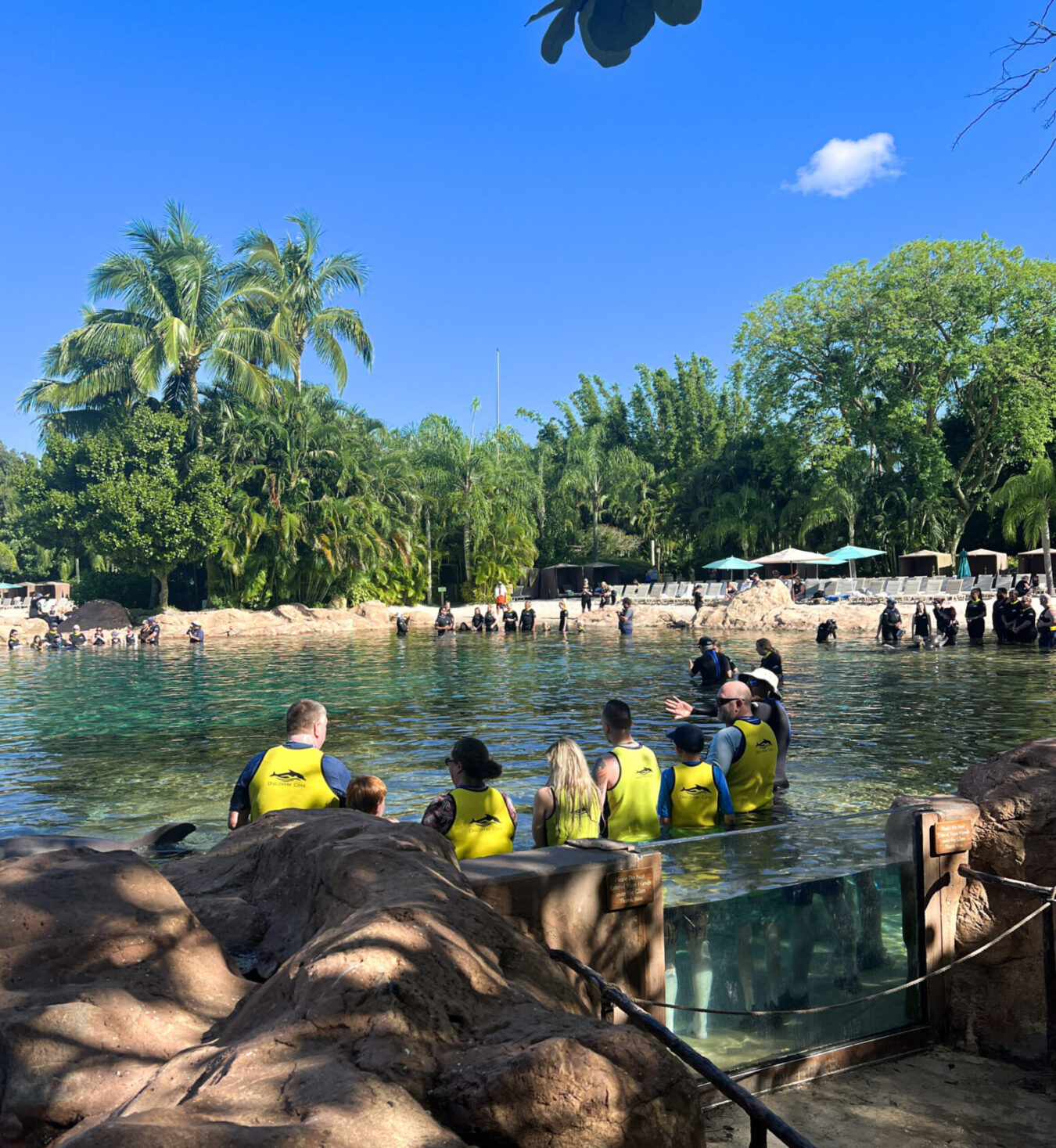 Discovery Cove activity