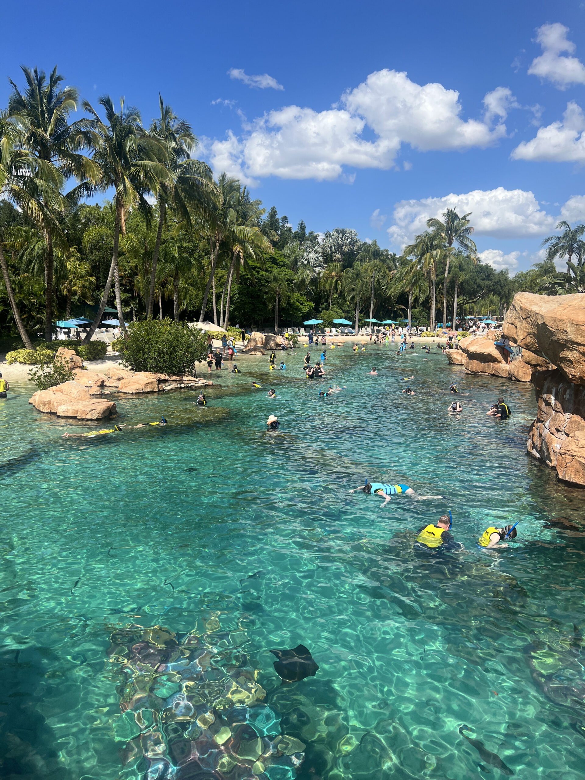 Discovery Cove Orlando