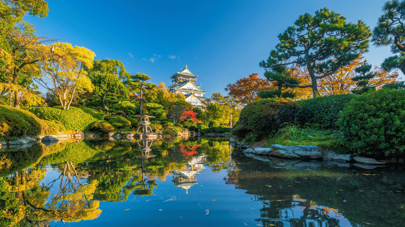 Osaka Castle, located in Osaka during an individual tour