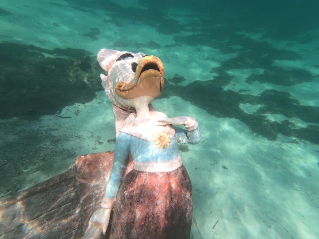 Disney Cruise Line Castaway Cay Image water