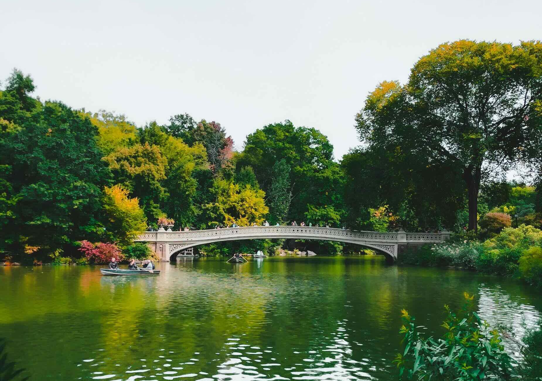 Central Park New York - NYC United States Bridge Green
