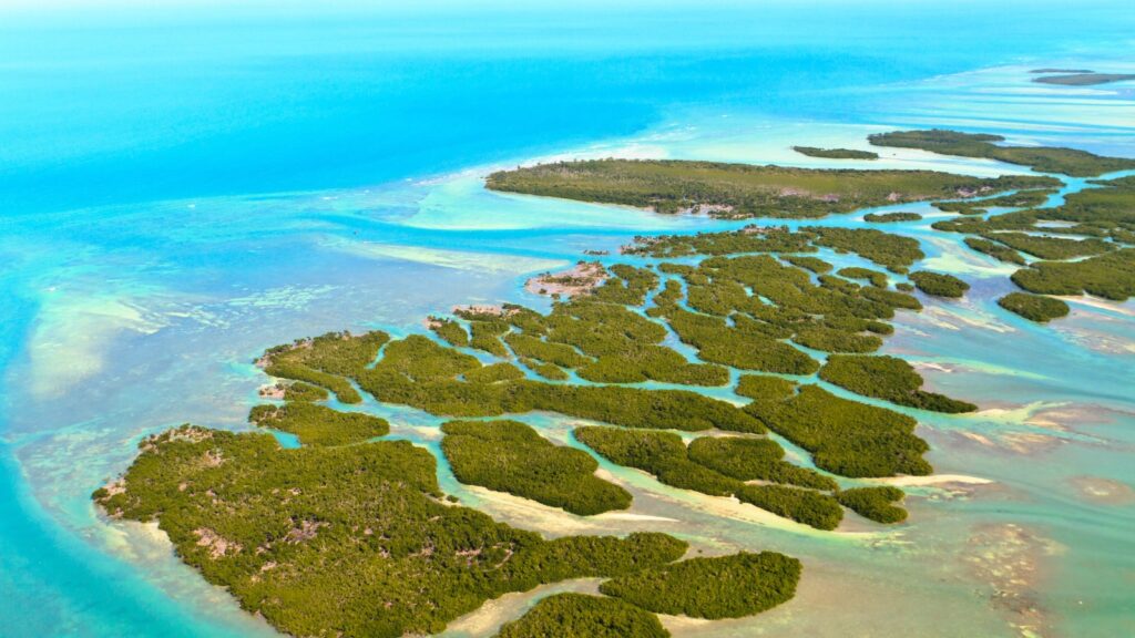 Views of the Florida Keys in the United States