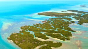Florida Keys overview