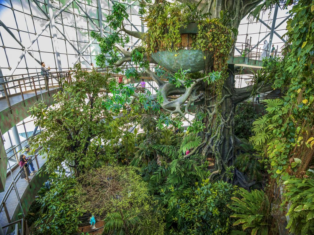 The Green Planet Dubai United Arab Emirates Tree