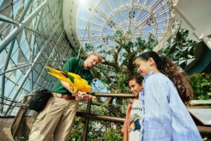 The Green Planet Dubai United Arab Emirates Birds and People