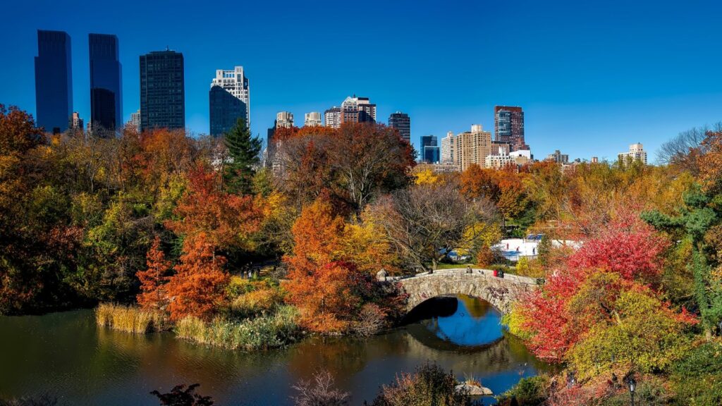 View of Central Park New York with Manhattan skyline during city break combo New York Florida