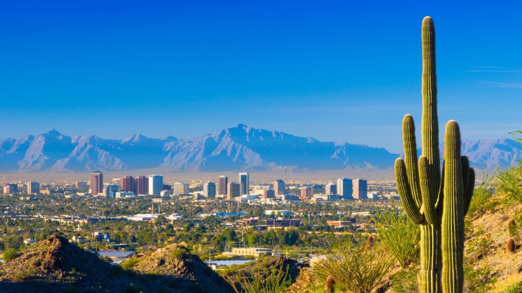 Phoenix skyline and cactus in Arizona
