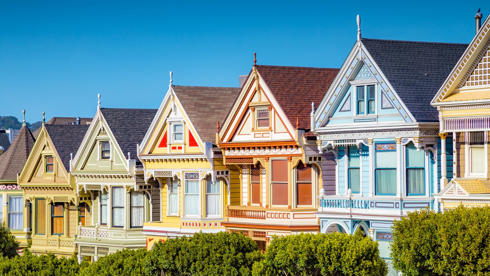 San Francisco Painted Ladies