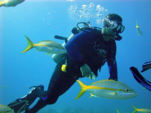 St Thomas Virgin Island USA - Scuba diving