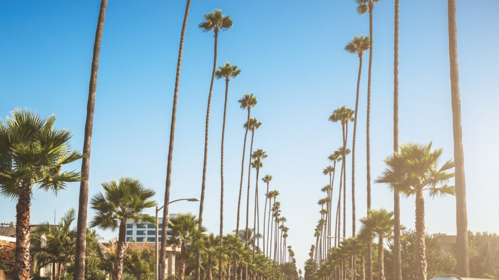 Sunset boulevard strip in los angeles