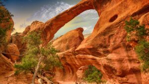 The Grand Canyon Rocks