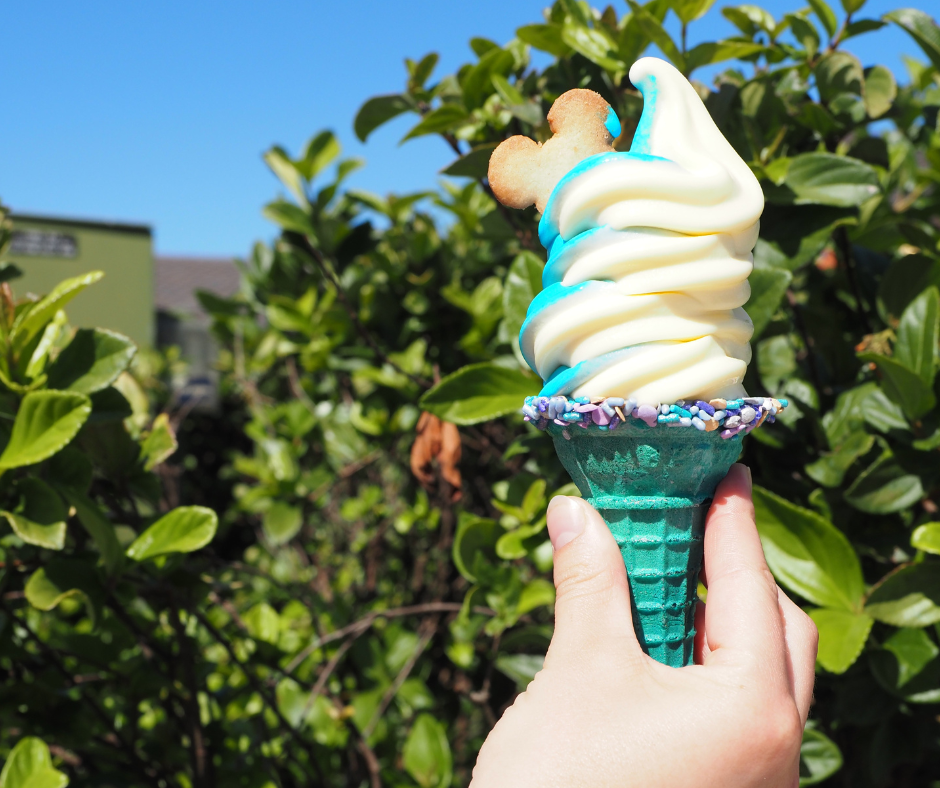 Ijsje Walt Disney World Magic Kingdom