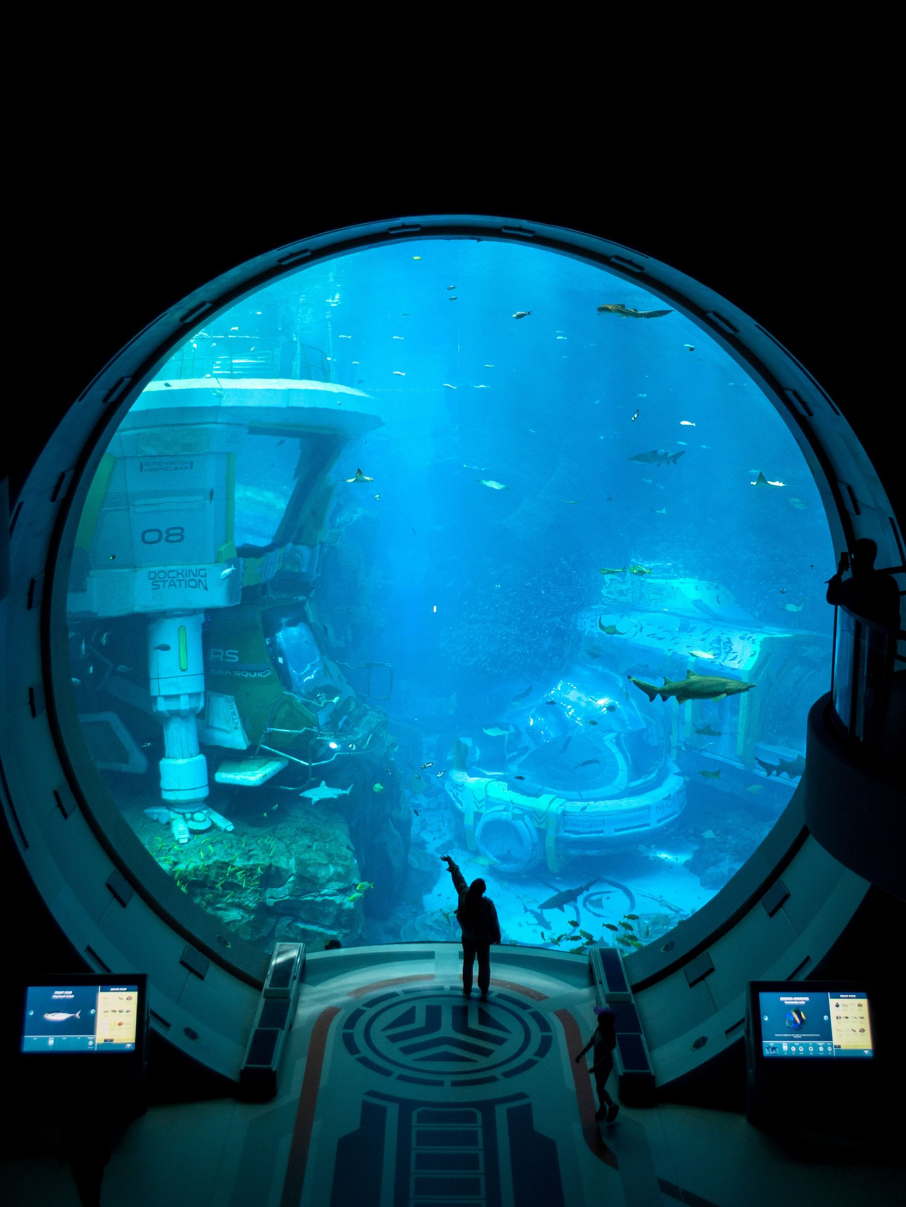 Sea World Abu Dhabi - Endless Ocean United Arab Emirates