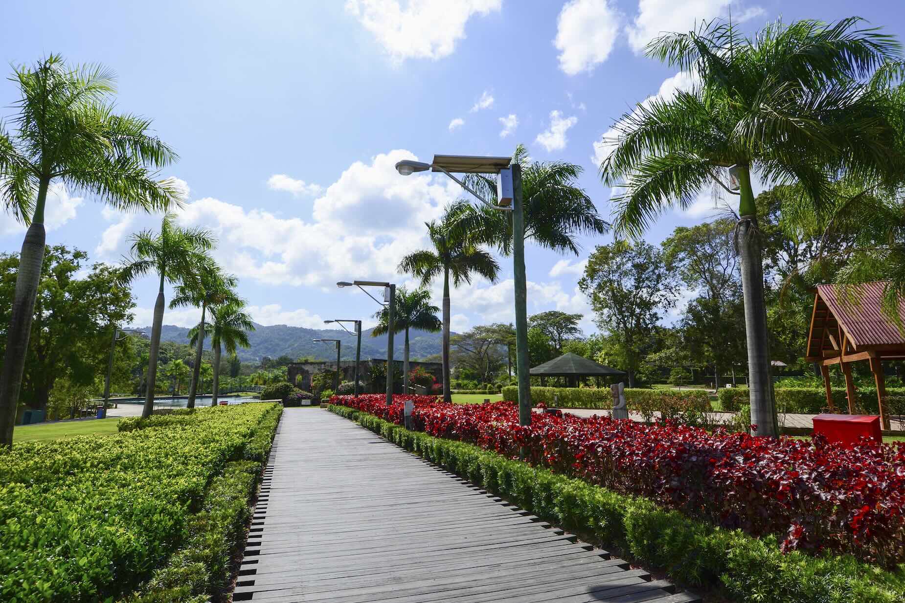 MSC Cruises botanical garden in Puerto Rico, San Juan ( MSC World America)