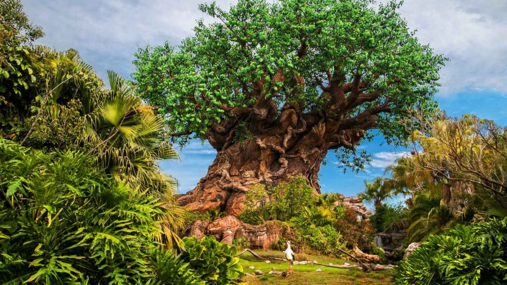 Tree of Life at Animal Kingdom during a 15-day Disney World vacation in Florida
