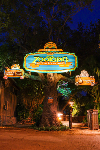 Zootopia Better Zoogether show in Animal Kingdom