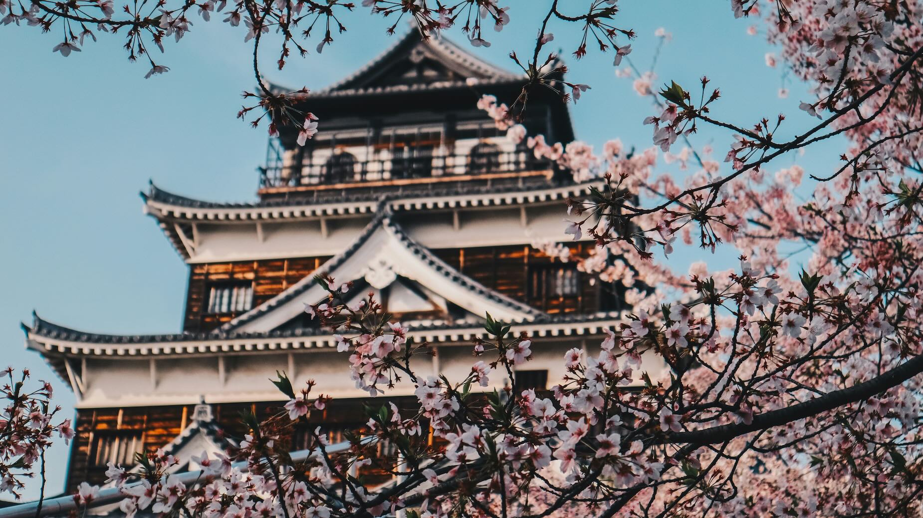 Hiroshima Temple during a tour of Japan with blossoms