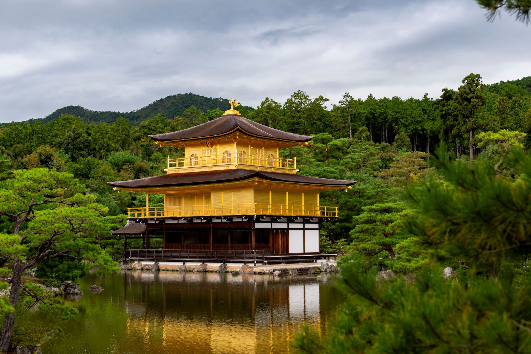Kyoto, Golden Pavilion temple during a trip to Tokyo