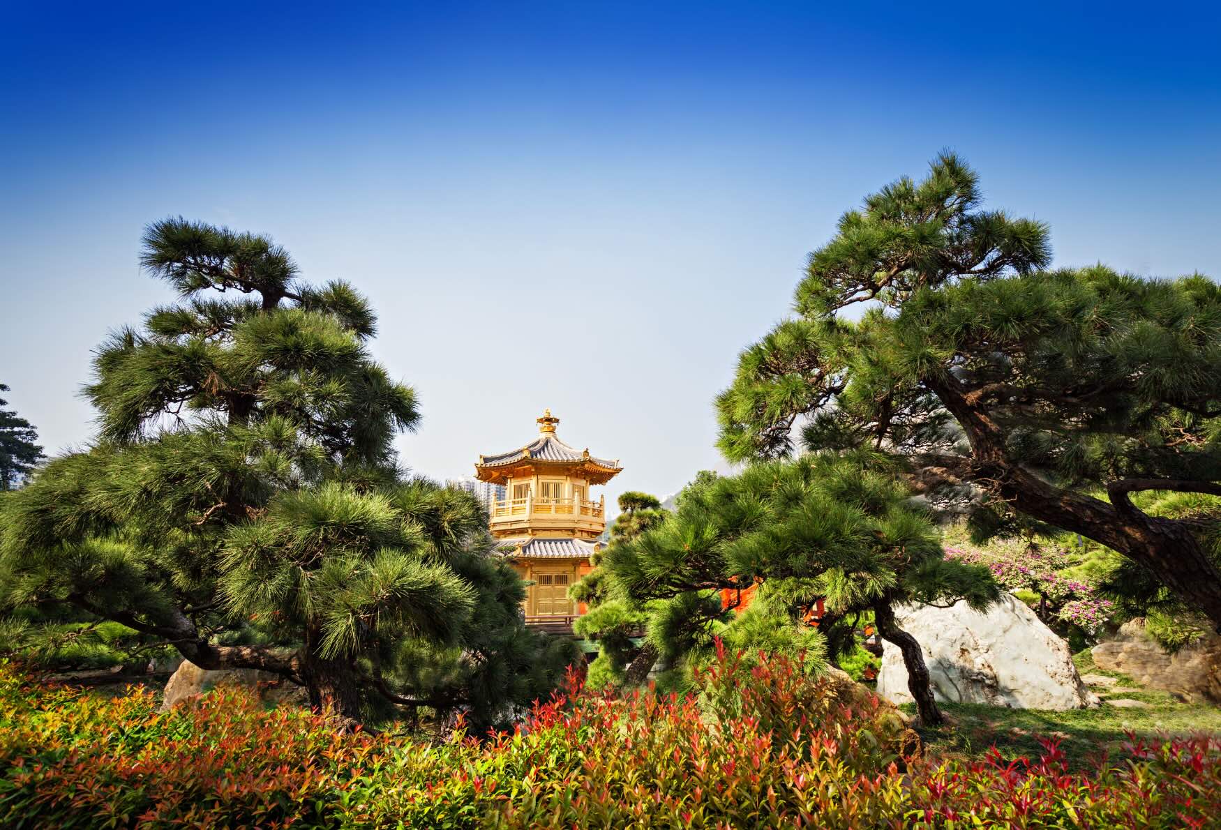 Nan Lian Garden in Hong Kong during a vacation