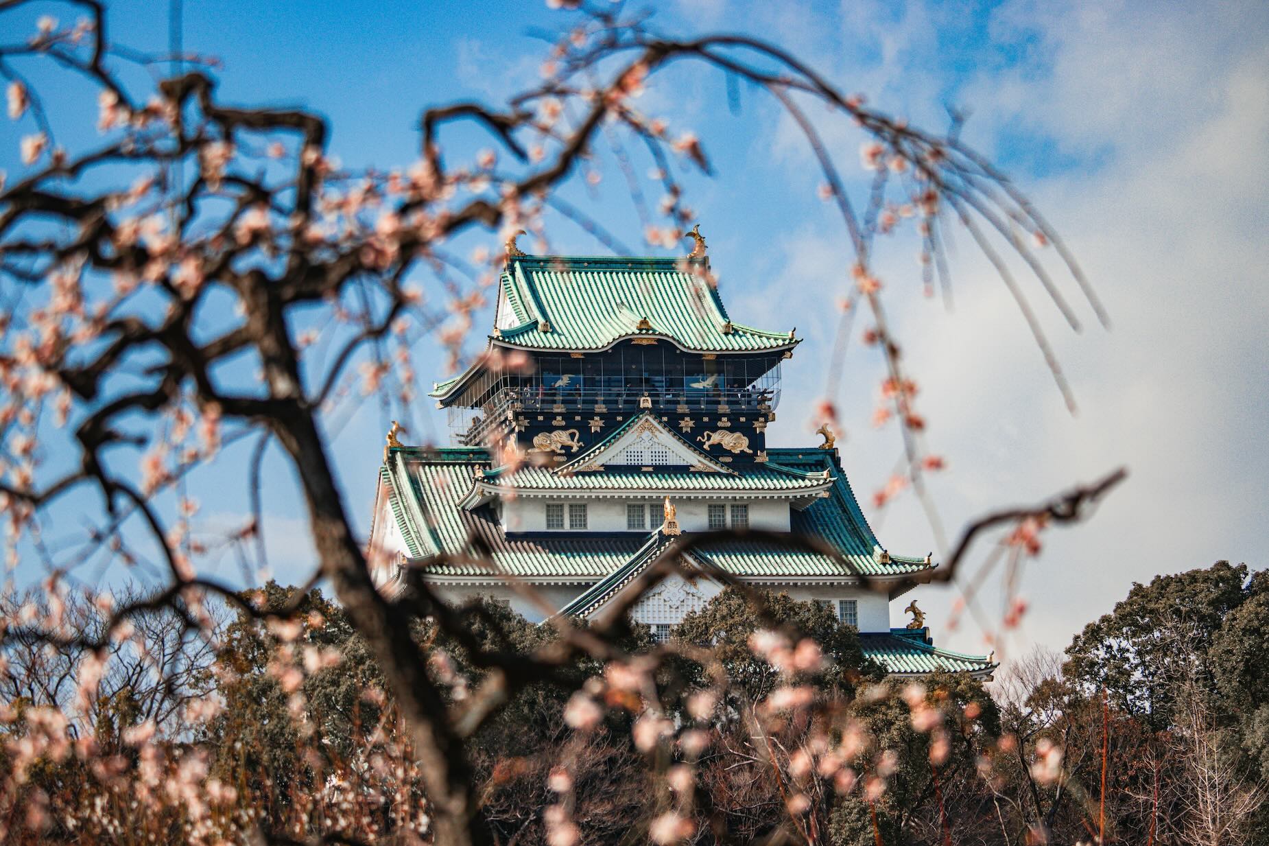 Osaka Castle during the blossoms in Japan