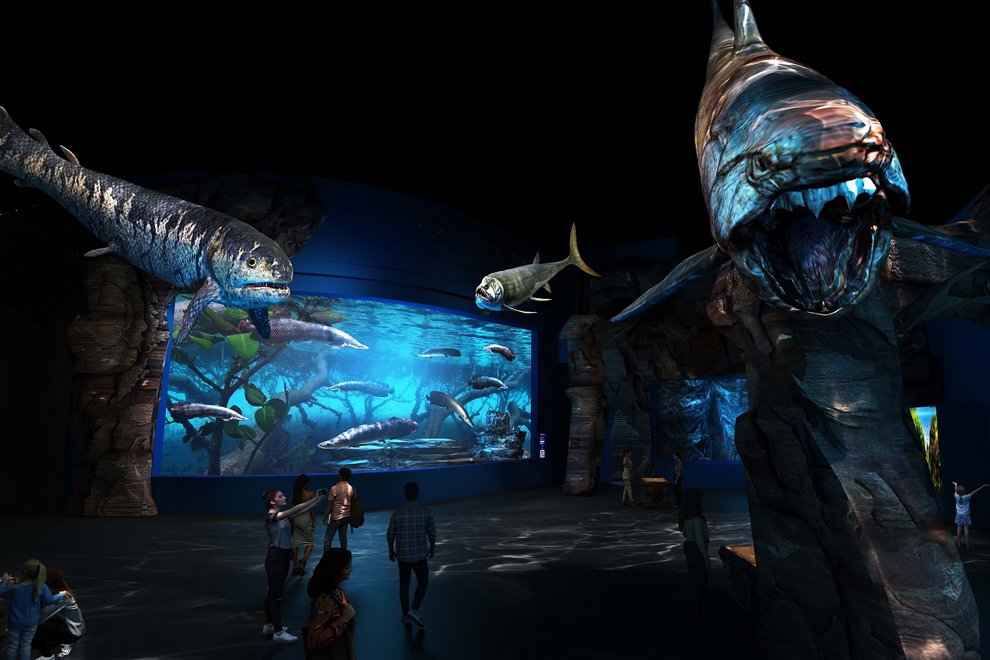 Sharks at the aquarium in Singapore