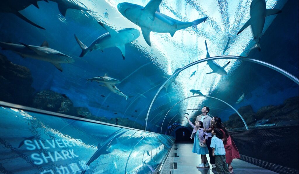 Singapore Oceanarium Sharks Aquarium during a vacation