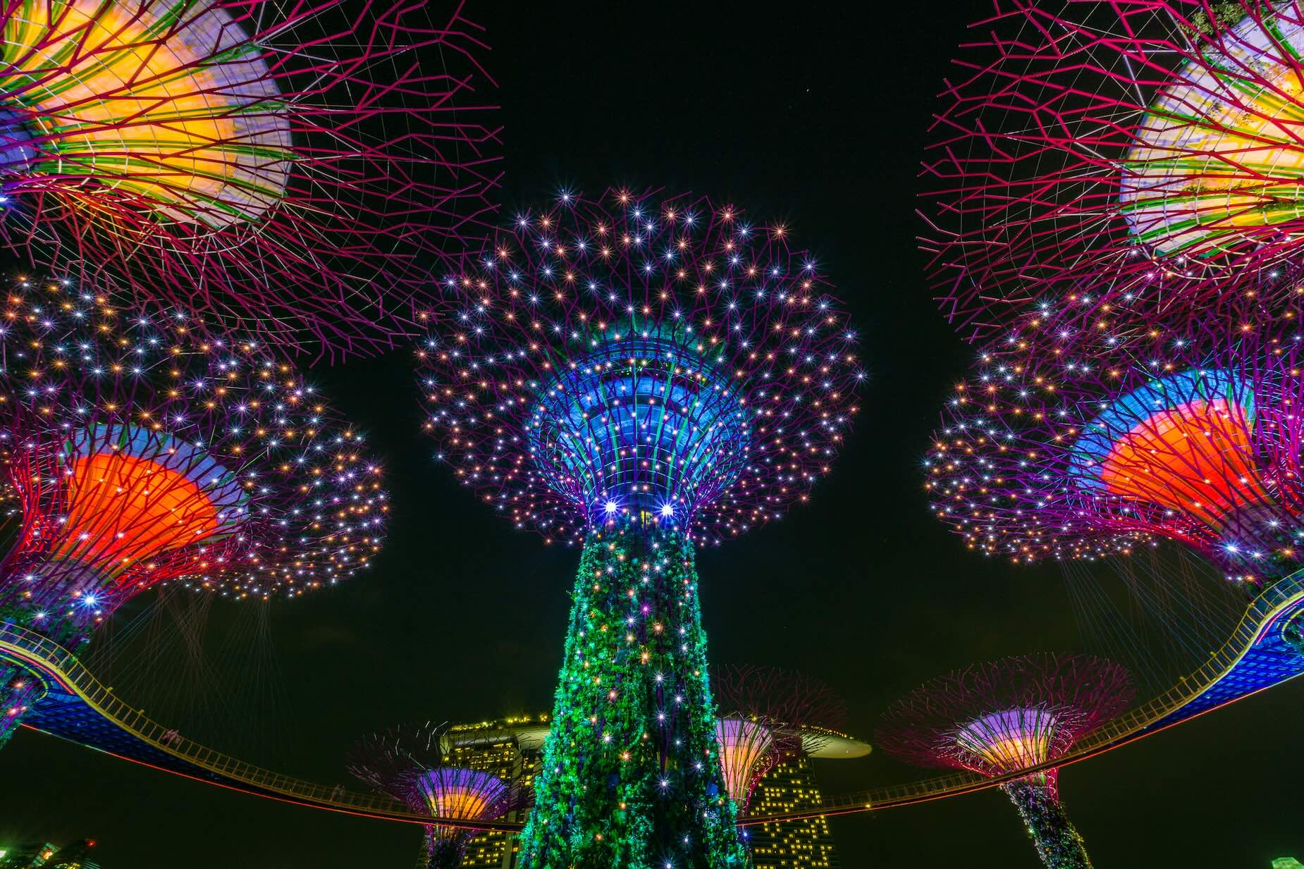 Gardens by the Bay Super trees lights evening