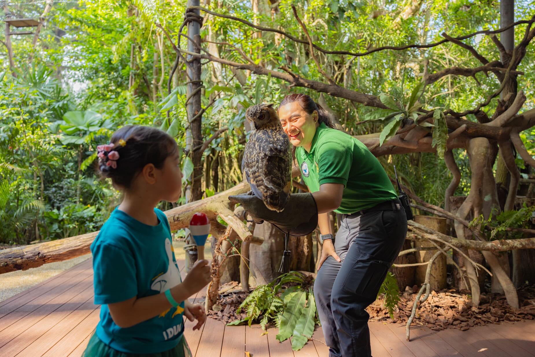 Encounter Owl at Singapore Zoo