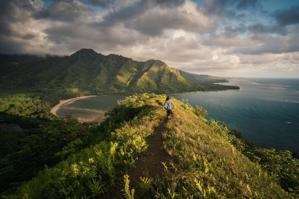 Natural landscape in Hawaii