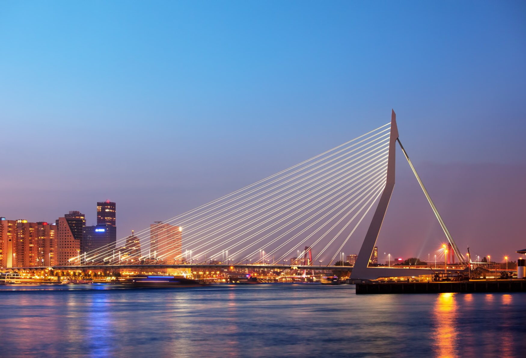 Erasmus Bridge in Rotterdam during a Disney Cruise in the summer of 2027