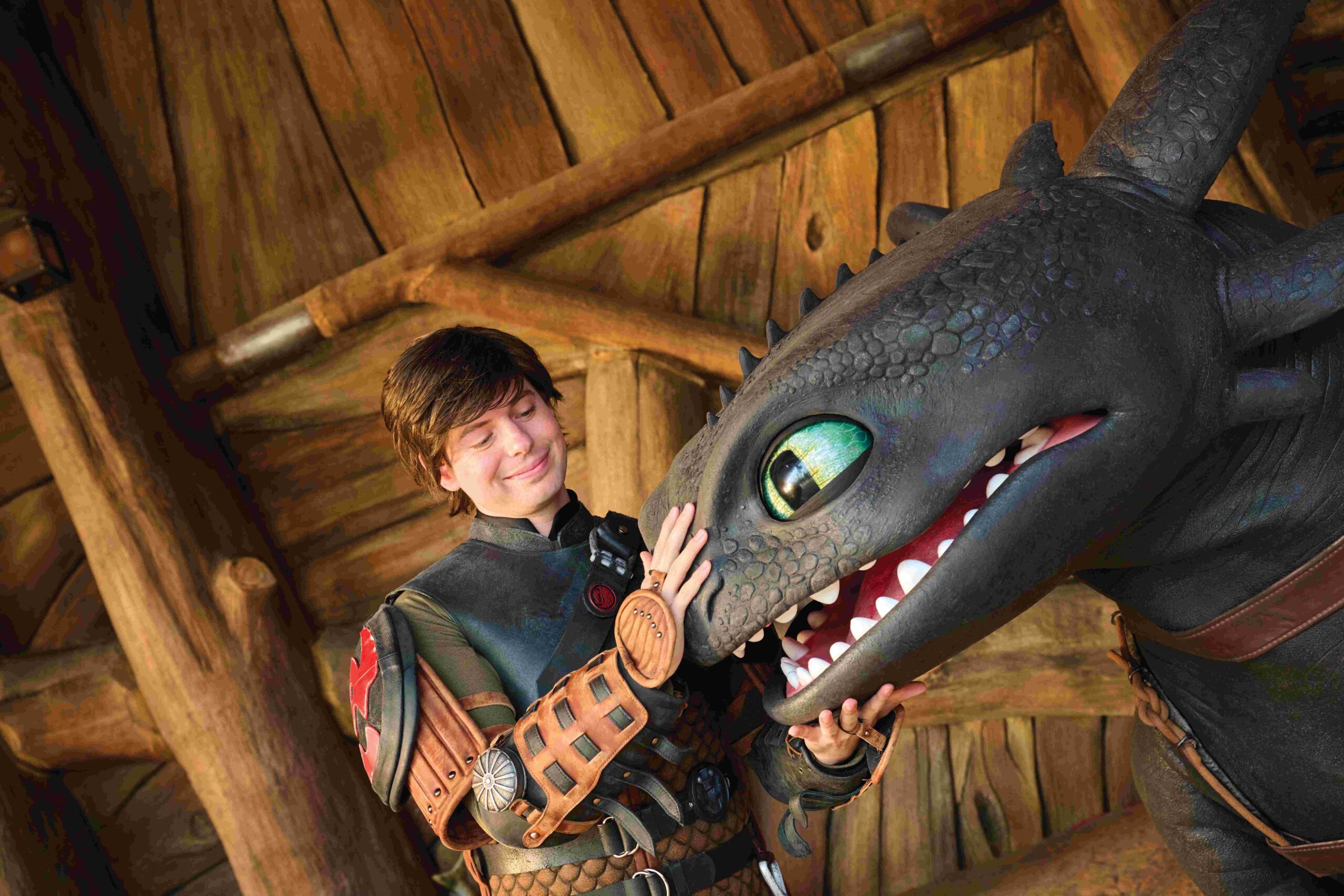 Hiccup & Toothless in Epic Universe